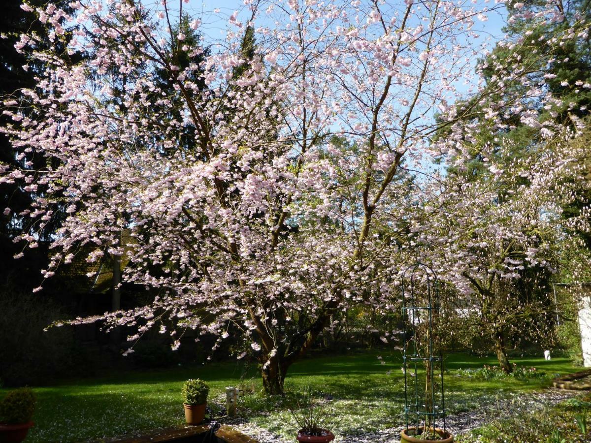 巴德贝芬森Haus Malerwinkel公寓 外观 照片